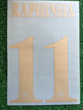 2026-2027 FC Barcelona Away Name Set and Number Raphael Dias “Raphinha” Player Issue Champions and Cup TPT
