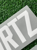 2026 Germany National Team Away Name Set and Number Florian Wirtz World Cup Name and Numbering Adult Size
