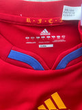 2010 Spain Home Shirt Player Issue Techfit World Cup Champions Size L (Very Fitted)