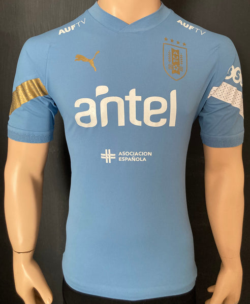 2022-2023 Uruguay National Team Training Shirt BNWT Size L