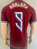2024-2024 Norway Home Shirt Erling Braut Haaland New BNWT Multiple Sizes