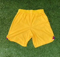 2023 Gavi Barcelona Shorts Fourth Senyera Player Issue Kitroom number 6