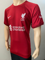 2022-2023 Nike LIverpool FC Home Shirt Dri-Fit BNWT