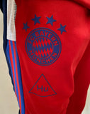 2020-2021 FC Bayern Munich Training Set Jacket and Pants Human Race Pre Owned Size M