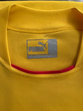 2004 Cameroon National Team Away Shirt Pre Owned Size L (Fitted)