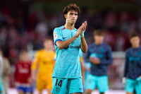 2023-2024 FC Barcelona Third kit Joao Felix Player issue La Liga New with tags Size XL (fitted)