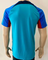 2022-2023 FC Barcelona Training kit Fan version