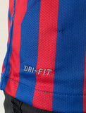 2011-2012 Nike FC Barcelona UCL Home Shirt David Villa Dri-Fit BNWT
