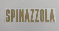 Set de nombre y numero Spinazzola Seleccion Italia original Stilscreen Version jugador Player issue