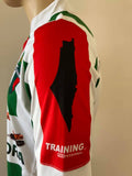 Jersey Palestino Primera division 4 Training Dir-Fit