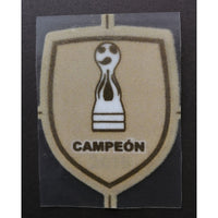 Parche Campeón Copa Argentina 2016 River Plate Lextra Senscilia Player Issue