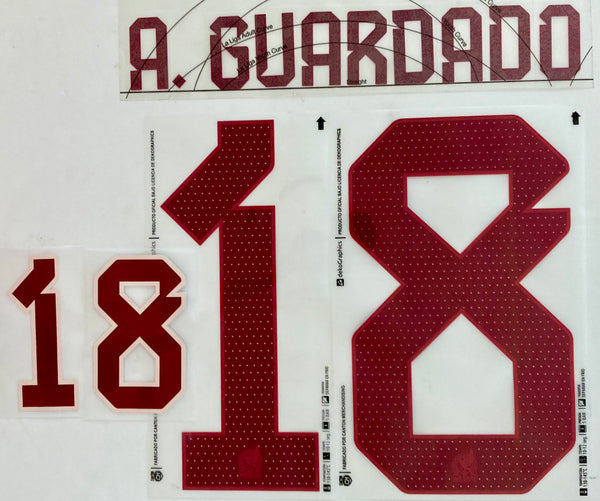 Name set Número Andrés Guardado 18 Selección Nacional de México 2022 For away kit/Para la camiseta de visita Mundial de Qatar Cantón Merchandising/Dekographics Kitroom Player Issue